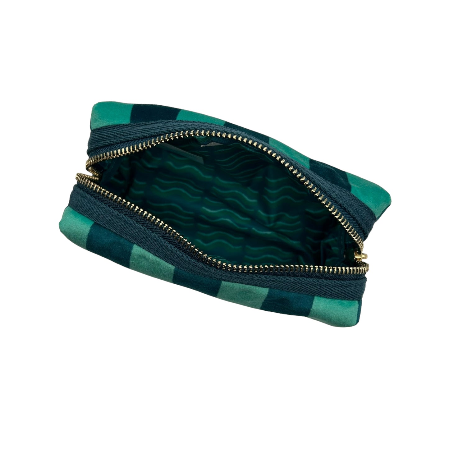 Teal stripe makeup bag with Green Insect pin