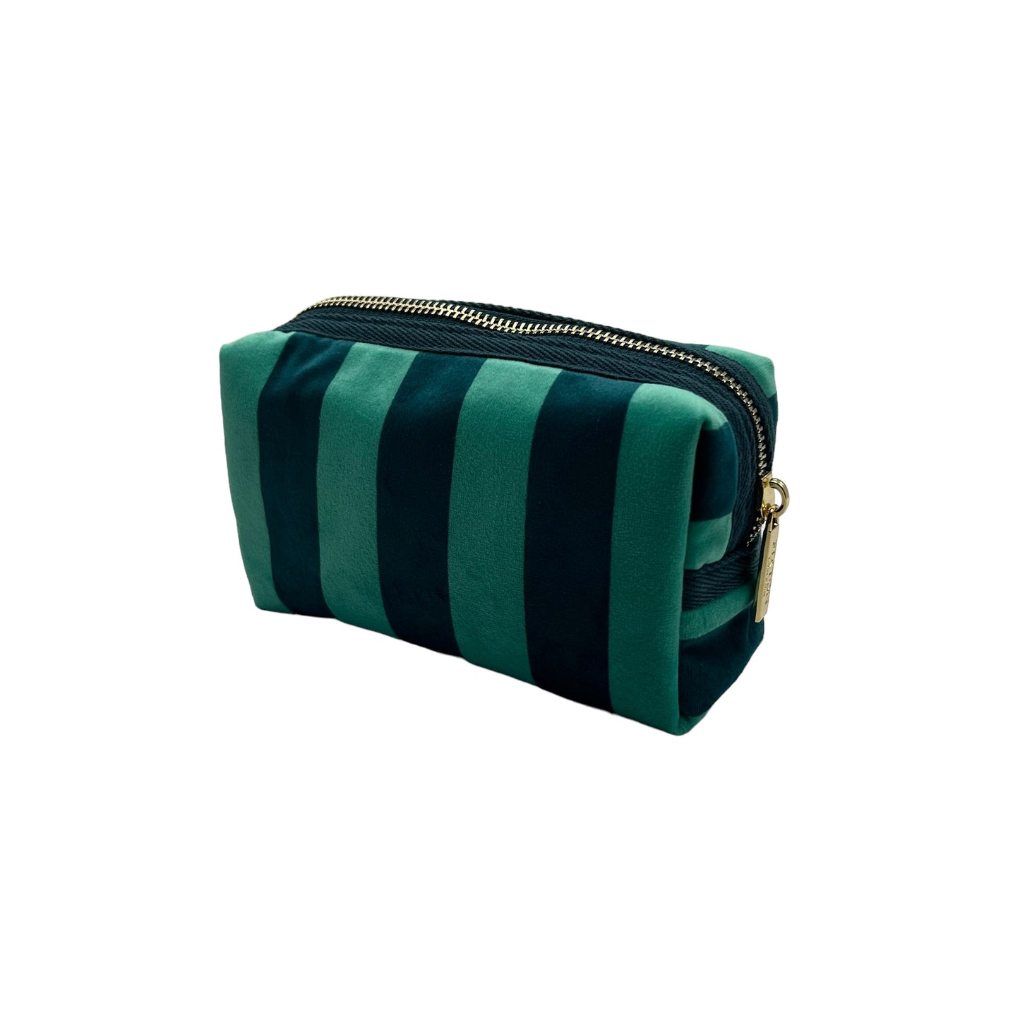Teal stripe makeup bag with Green Insect pin