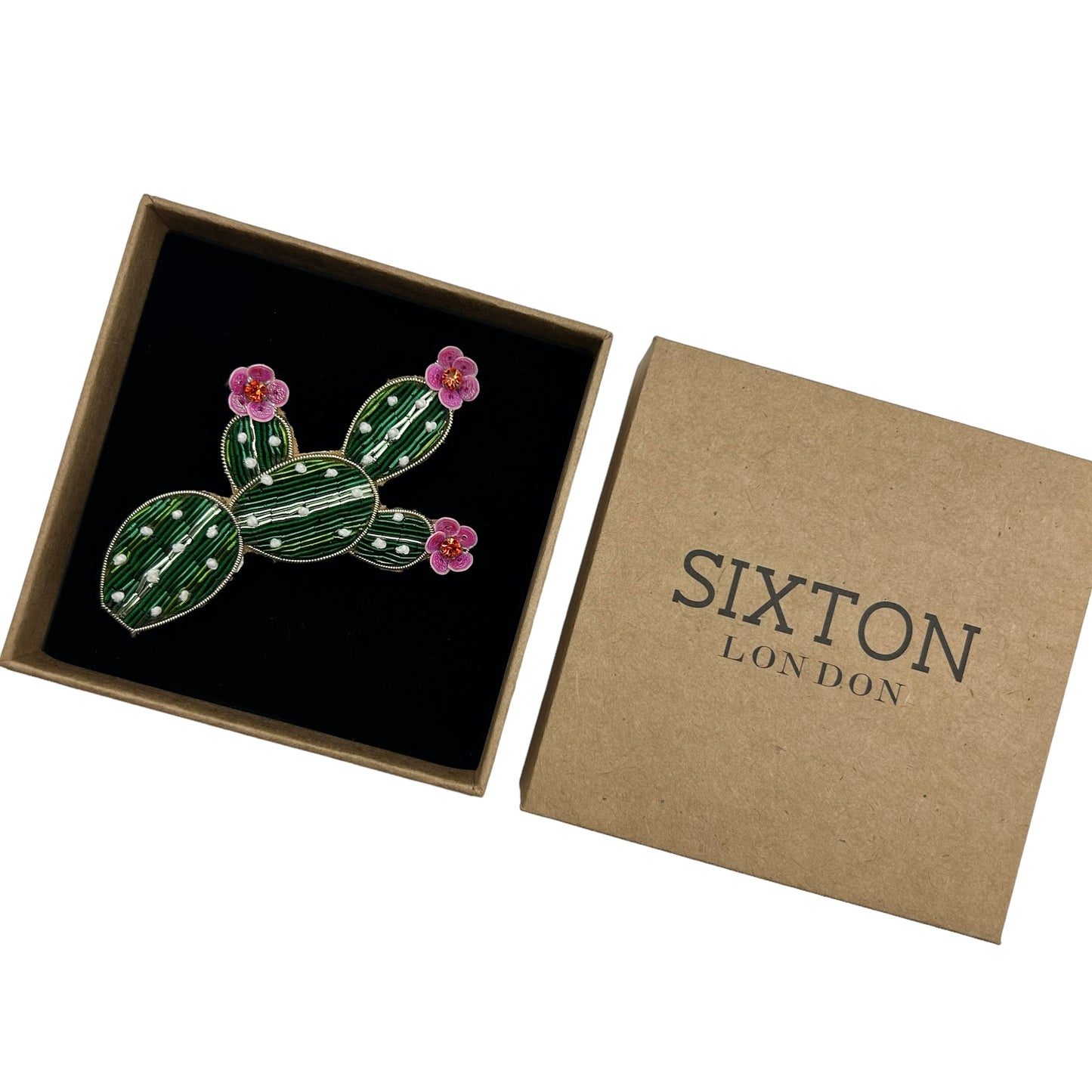 Cactus brooch