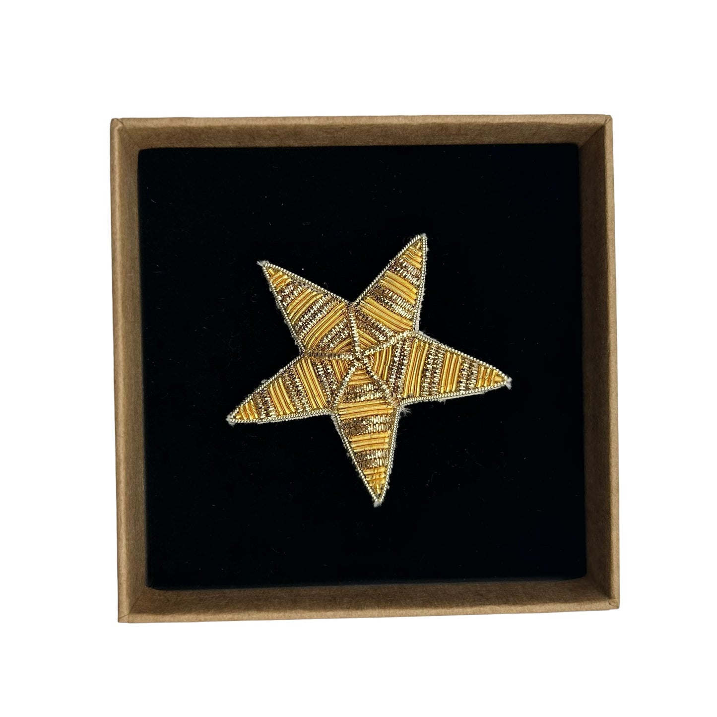 Gold star pin