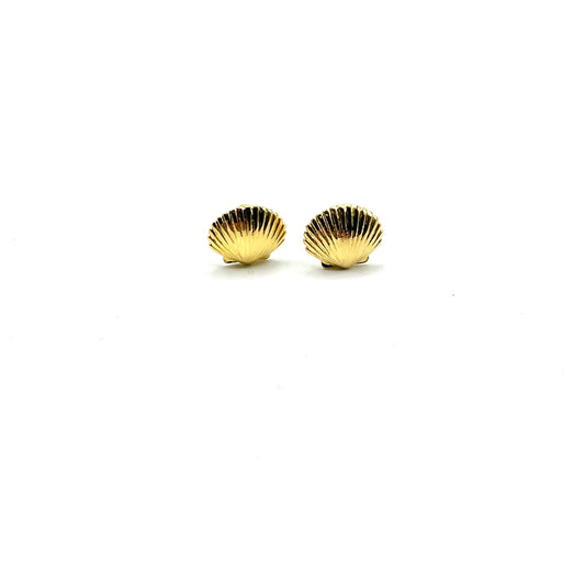 Shell earrings